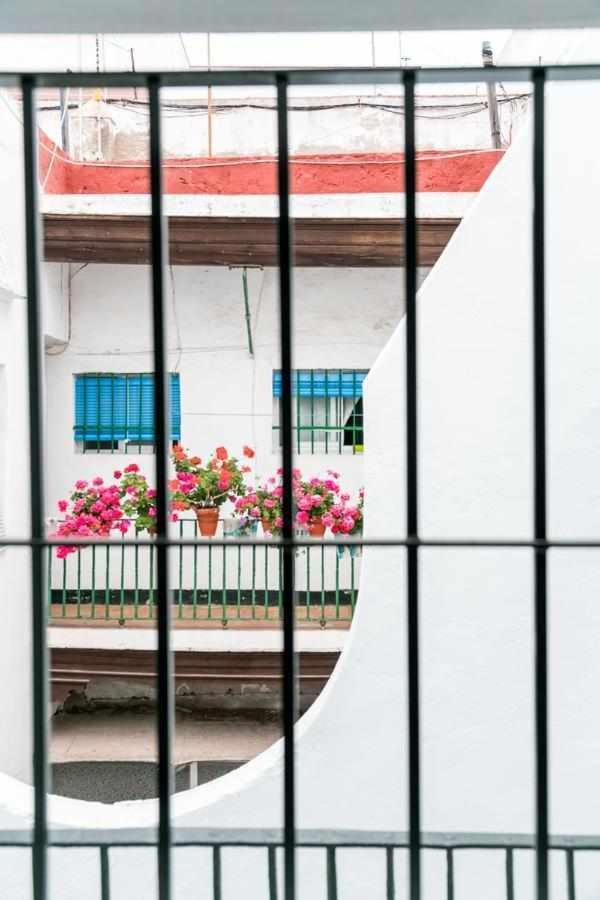 Fantastico Atico En El Casco Antiguo En A La Pla Daire Cadiz Dış mekan fotoğraf